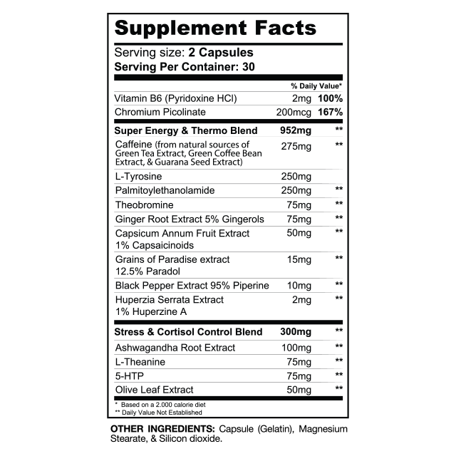 Supplement facts for DTN8 Explosive Fat Burner featured in the Gaspari Nutrition Summer Shred Stack, showing the blend of ingredients for energy and thermogenesis.