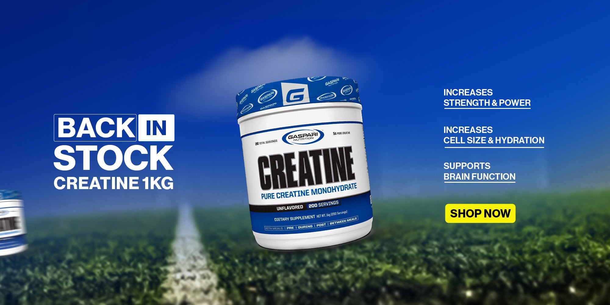 Creatine back in Stock - Gaspari Nutrition
